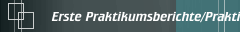 Erste Praktikumsberichte/Praktikumstermine 2009