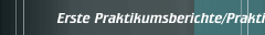 Erste Praktikumsberichte/Praktikumstermine 2009